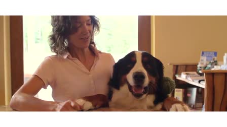 East Coast Animal Medical Center