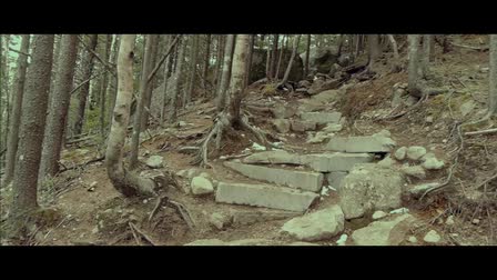 Disasterous Demo Reel