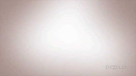 Dizilu Animation & Motion Graphics Reel