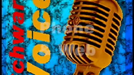 SchwarzVoice Commercial Voice Over Demo