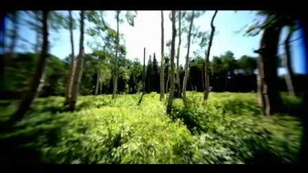 Commercial for Nature Valley
