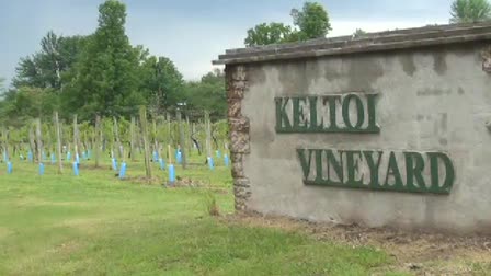The Art of Wine Documentary