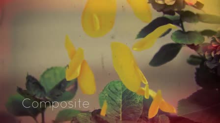Jeff Walsh Demo Reel