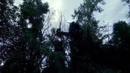 Micah Smith's Demo Reel 2012