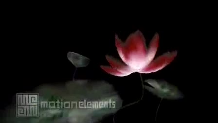 Free Stock Animation - MotionElements.com