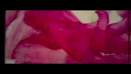 My reel