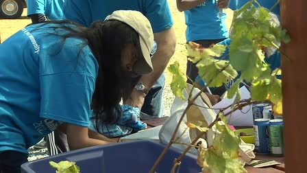 Hewlett Packard Global Volunteer Challenge