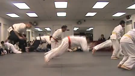 Goshinkan Dojo Demo Reel
