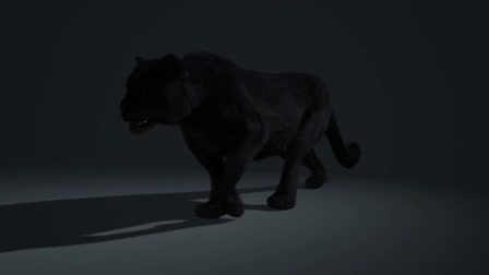 Animation Reel