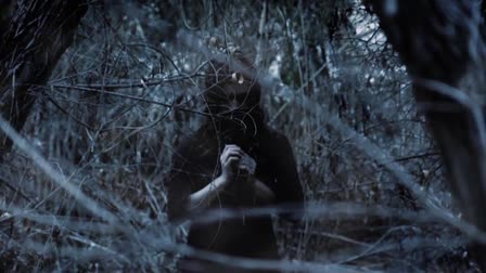 Brittani Hom Show Reel 2011-12