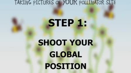 PollinatorLIVE: Discover Life - Bee Hunt