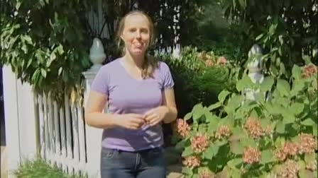 "PollinatorLIVE: Youngest Bee Keeper in DC"