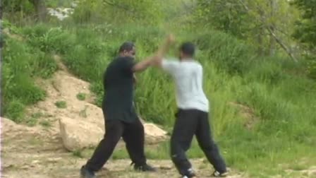 Morris Small Fight Demo