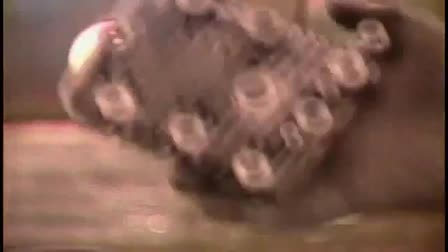 Video Wisconsin, Inc.