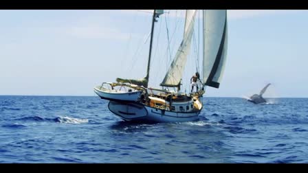 Johanna and the Whale, Teaser