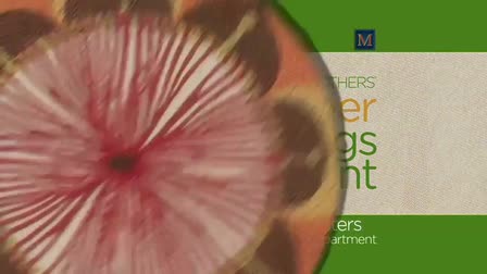 Showreel 2013
