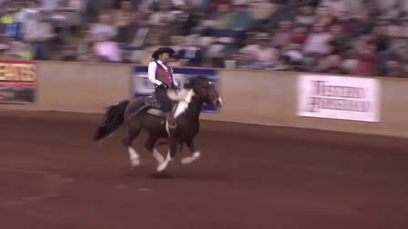 TNDV: Tennessee Digital Video