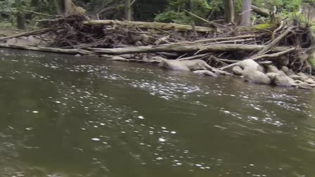 Flying Over Boonton Falls