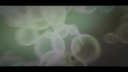 Logan Seaman - Reel 2013