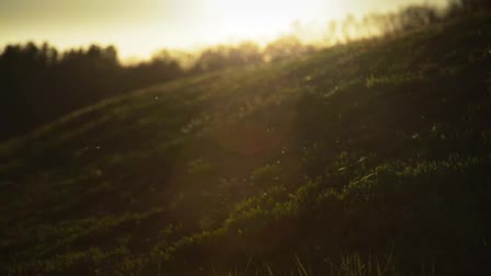 Joseph Amaral Demo Reel 2013