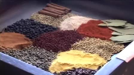 Spice and tea exchange tampa bay multimedia