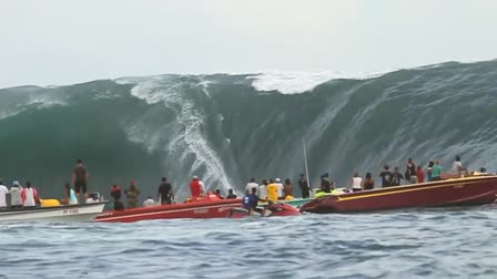 Windowseat Reel