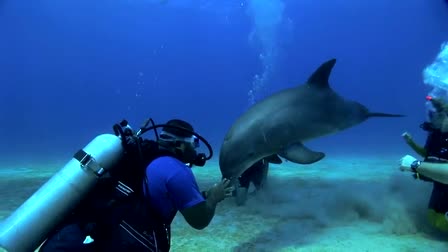 El Buceo en el Mar Azul