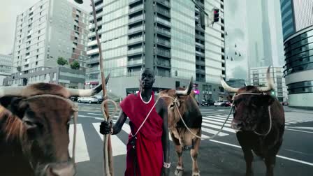 Commercial Link 4 "Massai" 2013