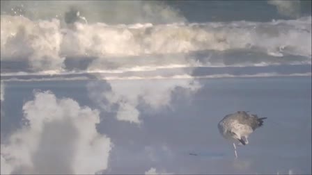 God of Wonders by Third Day music video, Filmed and Edited by Cherie Carr