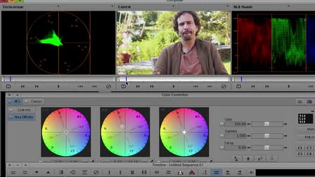 Color Grading with Avid Media Composer: Unique Gamut Displays for Color Grading 