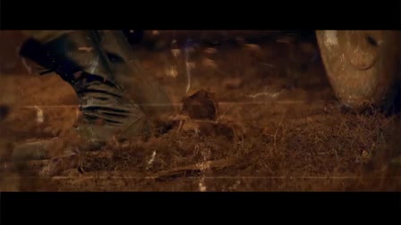 Music video SHOWREEL