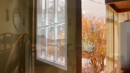 Real Estate Show Reel
