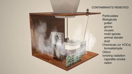 Plant-based air cleaner