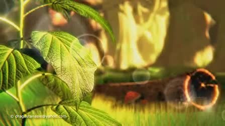 Demo Reel