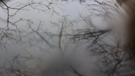 Dylan Gerety's Video Reel