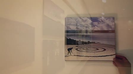 Close: The Photography of Allan Pollok-Morris
