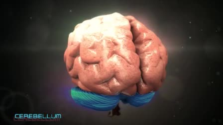 THINK RIGHT CREATIVE SAMPLE REEL