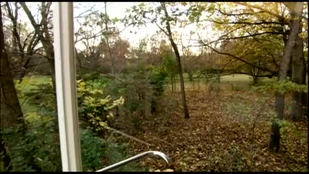 Saved From The Wrecking Ball; The Farnsworth House