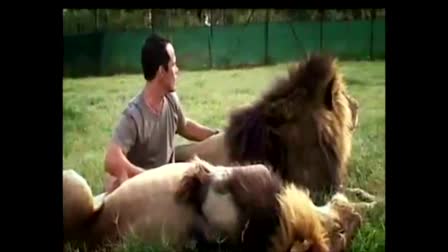 The Lion Whisperer