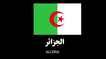 right to vote for Egyptian living abroad