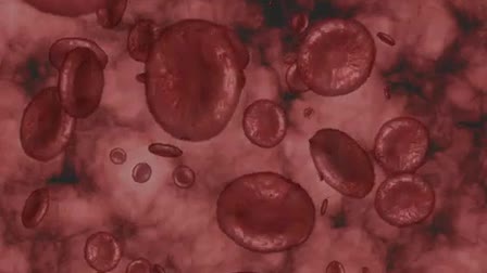 Blood-Borne Protocols