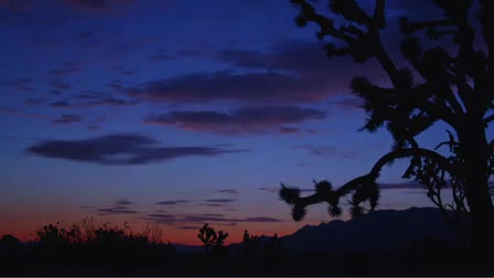 2013 Cinematography Demo Reel