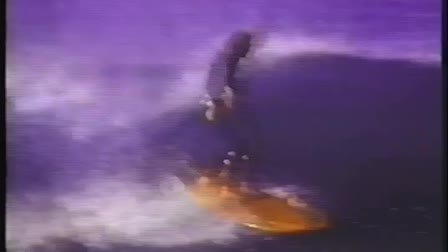 Bonzer