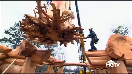 Timber Kings 