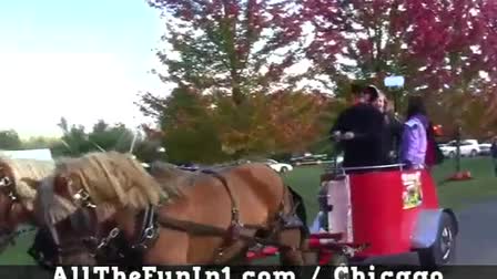 Call 815-600-6464-Animal Rental,Animal Rentals,Animal Rental Chicago,Animal Rentals Chicago,Animal Rental Chicagoland Area,Animal Rentals Chicagoland Area