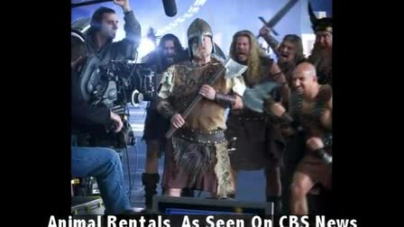 Capitol One Shoot with "The Visigoths"