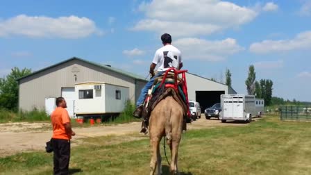 Call 815-600-6464-Animal Rental,Animal Rentals,Animal Rental Chicago,Animal Rentals Chicago,Animal Rental Chicagoland Area,Animal Rentals Chicagoland Area