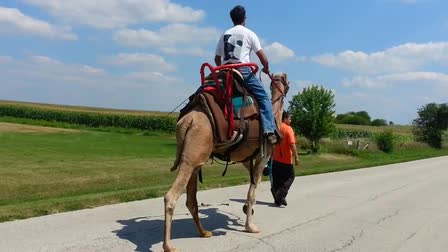 Call 815-600-6464-Animal Rental,Animal Rentals,Animal Rental Chicago,Animal Rentals Chicago,Animal Rental Chicagoland Area,Animal Rentals Chicagoland Area