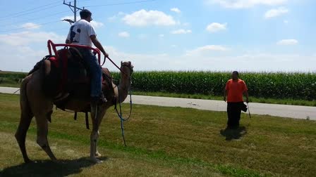 Call 815-600-6464-Animal Rental,Animal Rentals,Animal Rental Chicago,Animal Rentals Chicago,Animal Rental Chicagoland Area,Animal Rentals Chicagoland Area