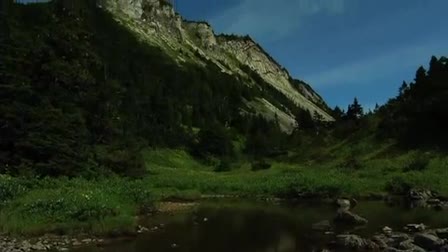 Green Earth Films Inc Wildlife Demo